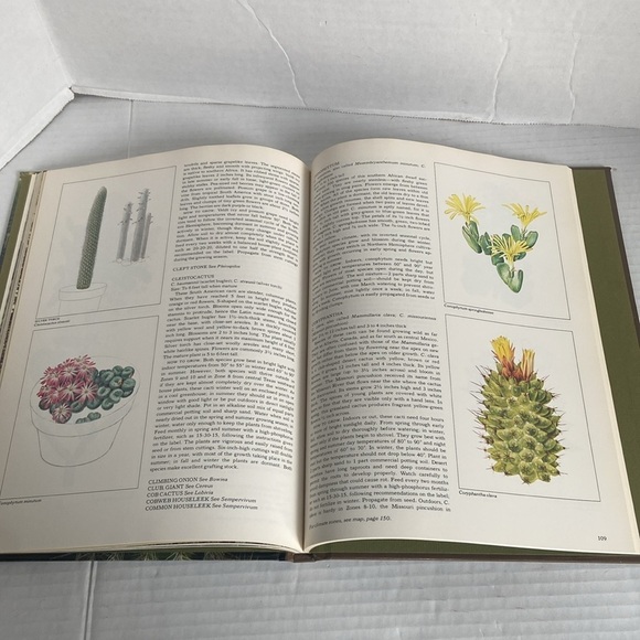 The Time Life Encyclopedia of Gardening Cacti Succulents Temp & Characteristics - Picture 8 of 15